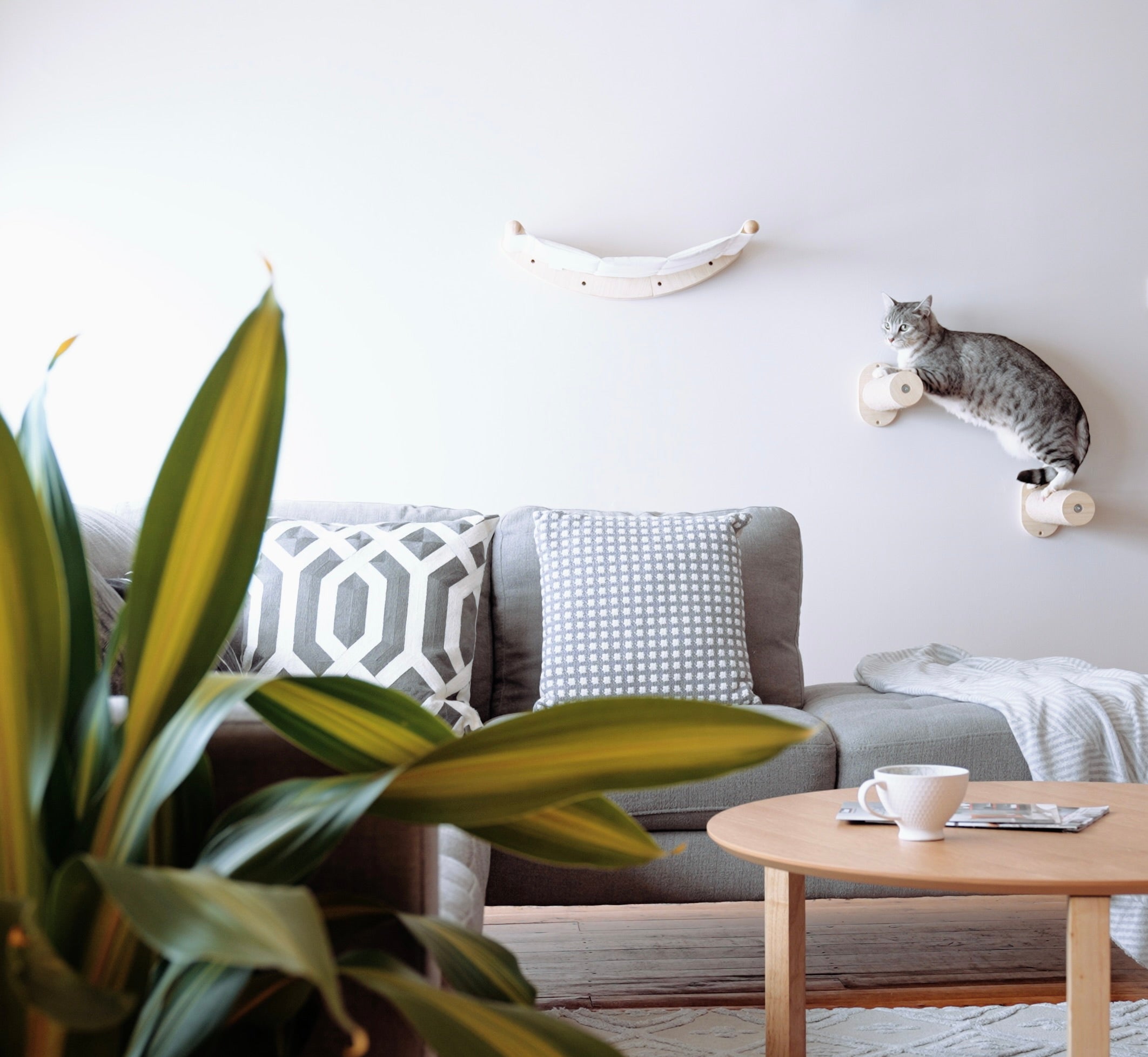 How to Design a Cat-Friendly Home Without Ruining Your Aesthetic
