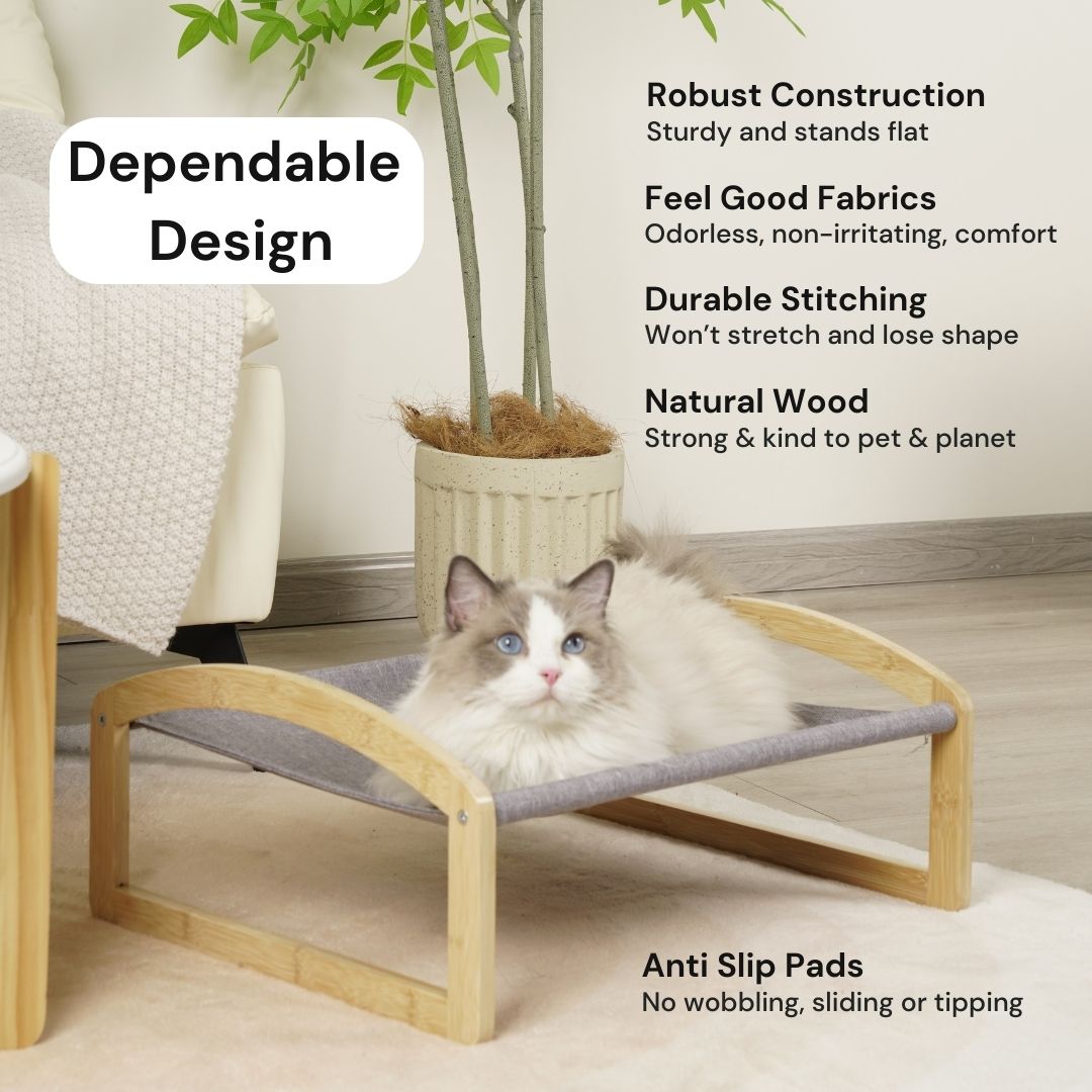 Cat Bed - Basso
