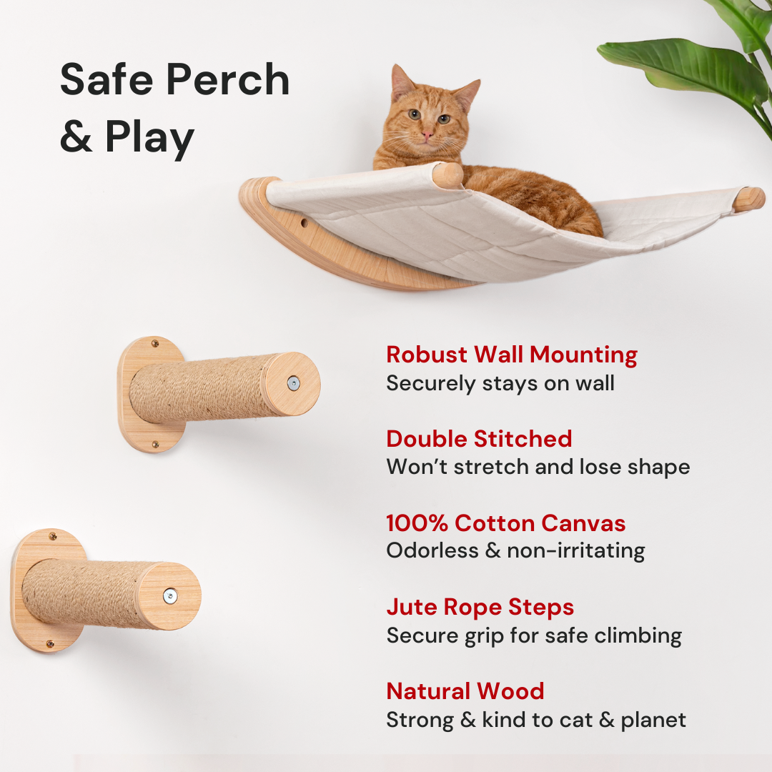 Cat Hammock & Steps - ALTO