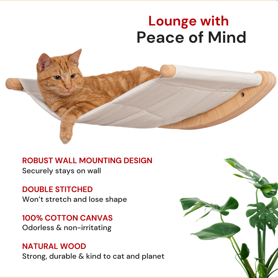 Cat Hammock & Steps - ALTO