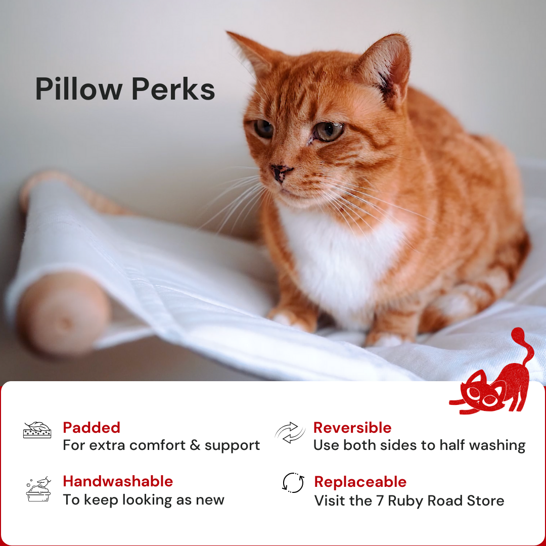 Cat Hammock & Steps - ALTO