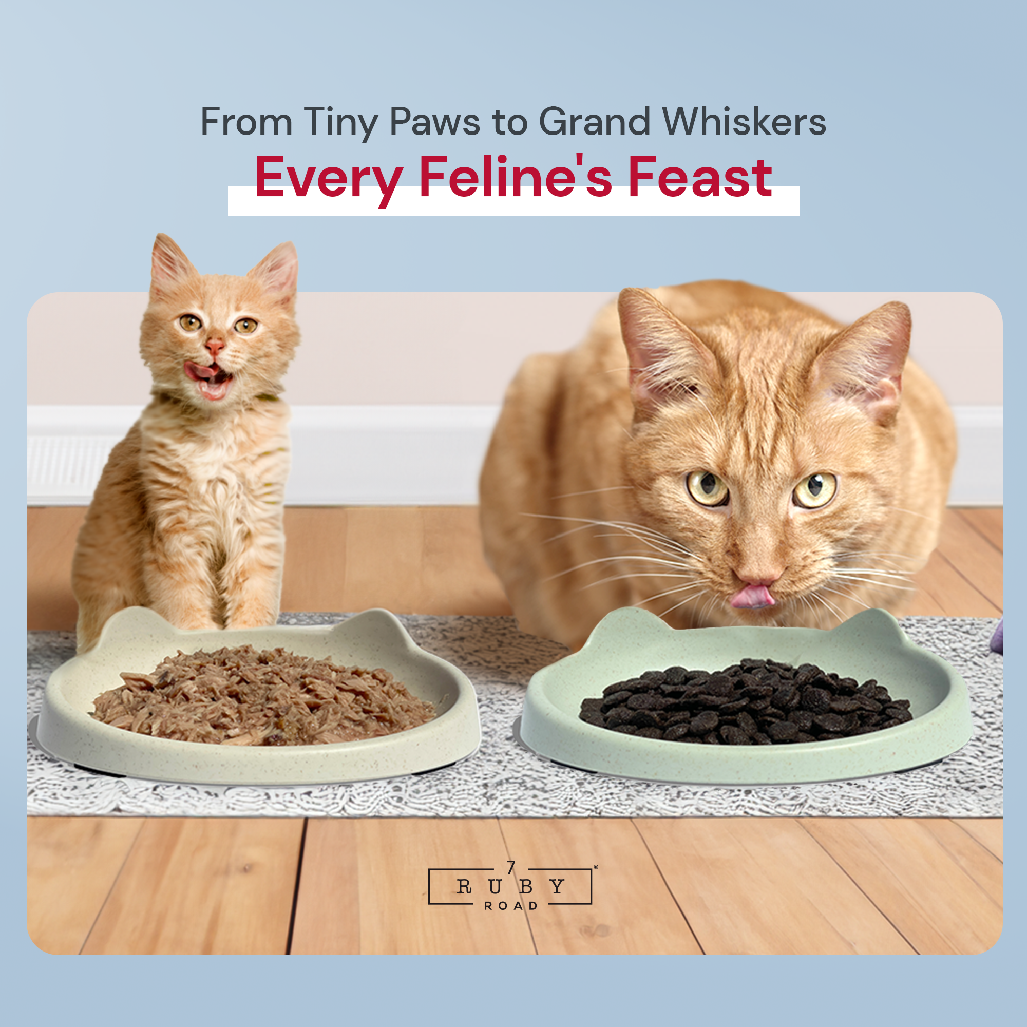 Cat Bowl - CARA