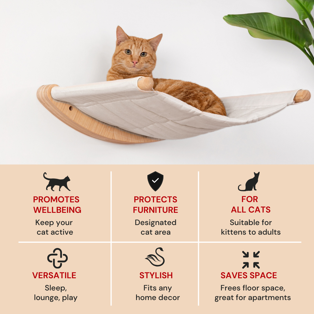 Cat Hammock - HALTO