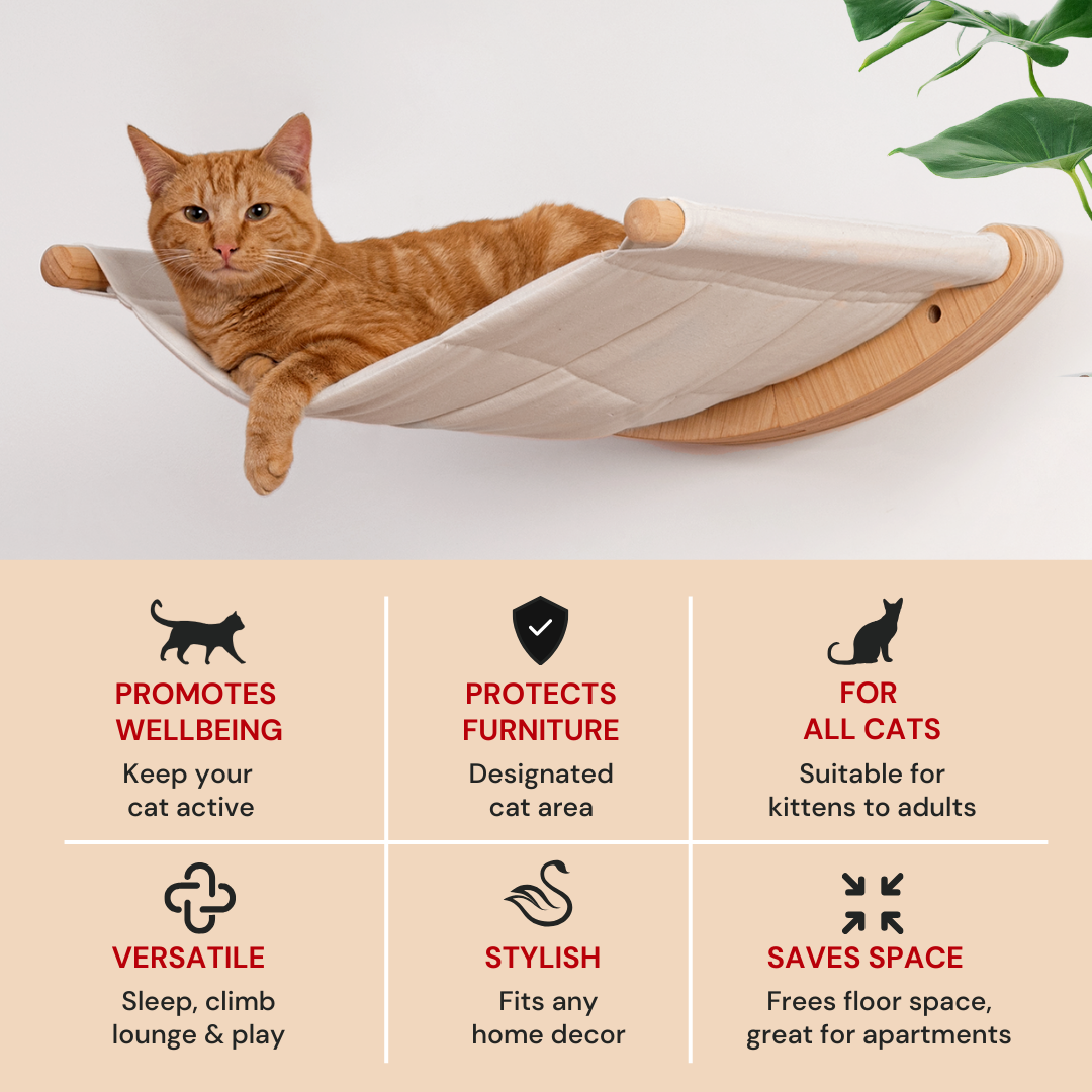 Cat Hammock & Steps - ALTO