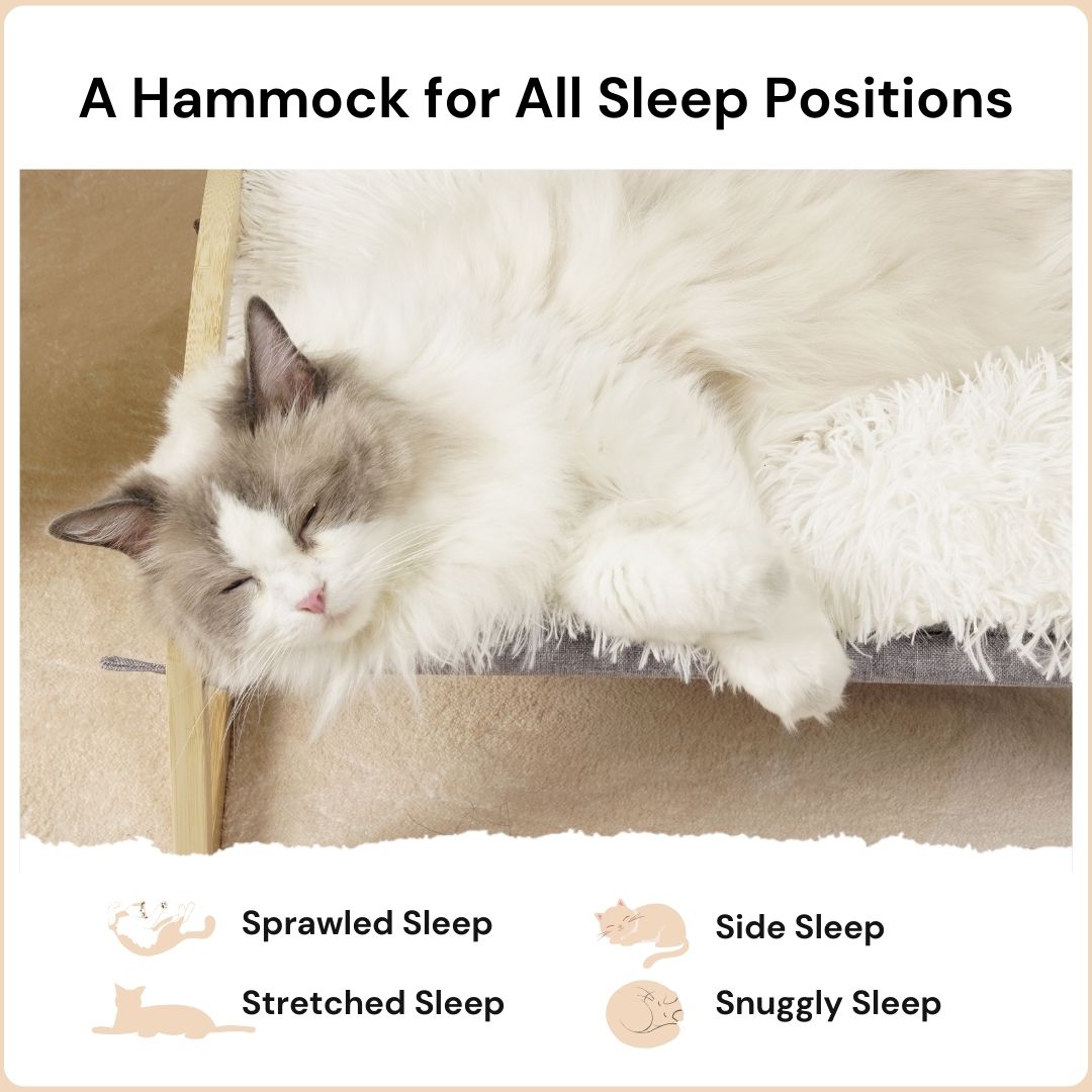 Cat Bed - Basso