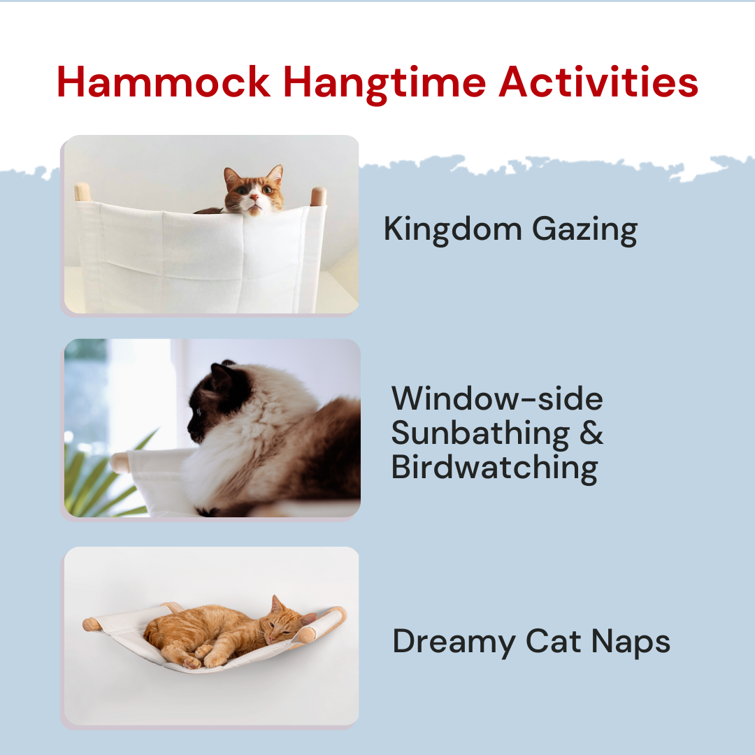 Cat Hammock - HALTO