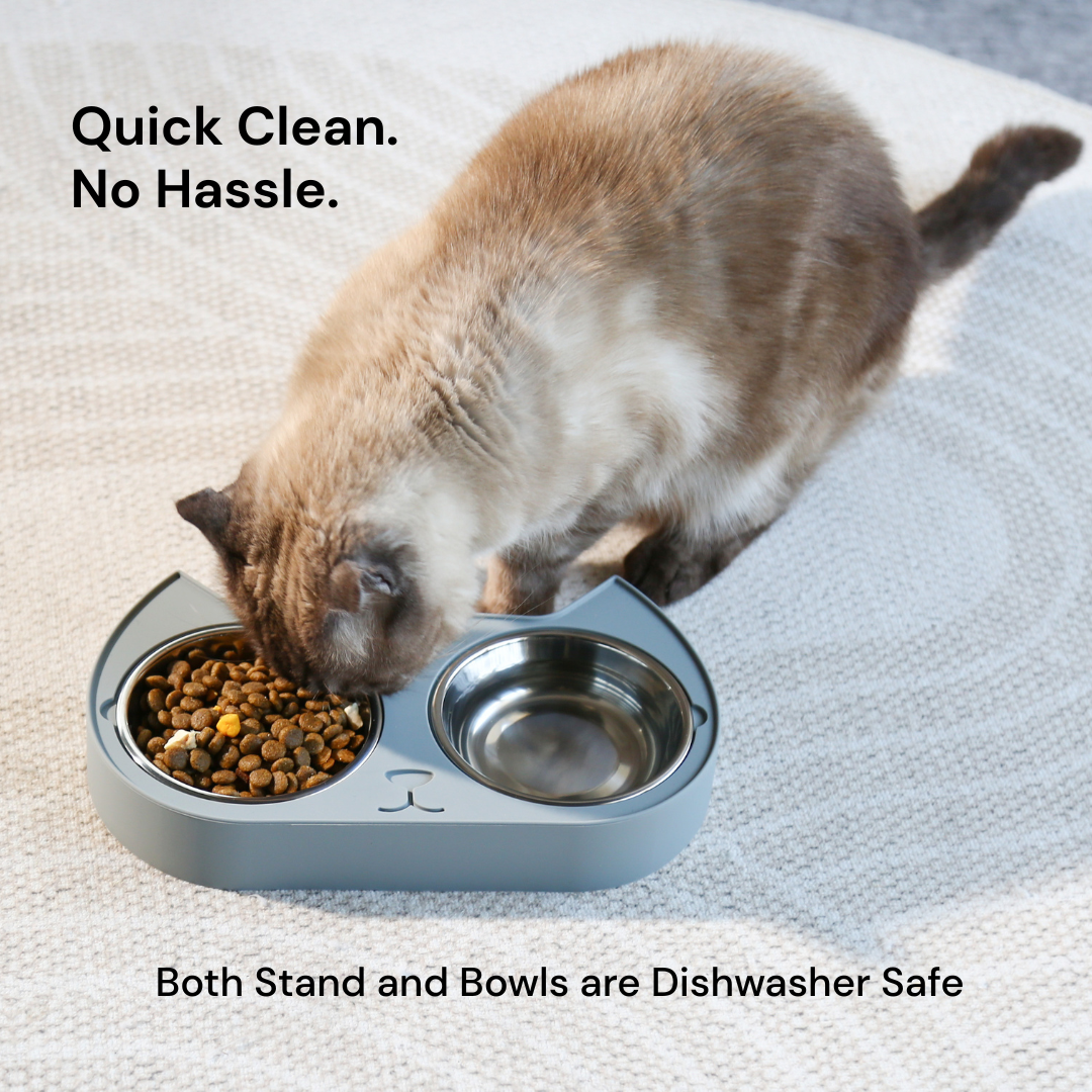 Cat Bowls - PASCO