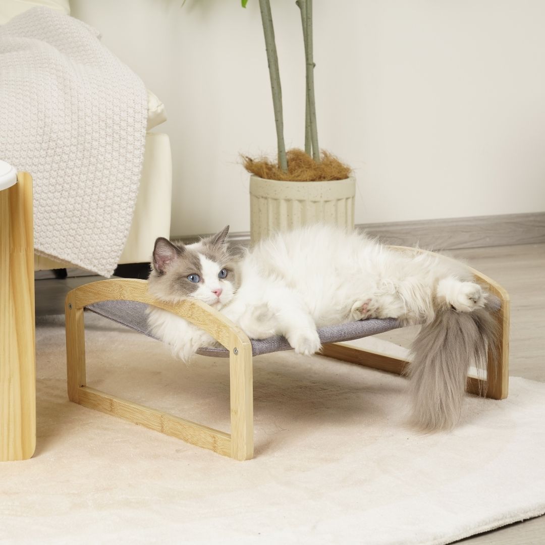 Cat Bed - Basso