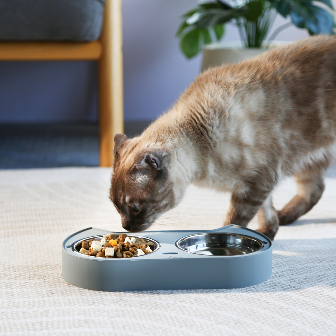 Cat Bowls - PASCO