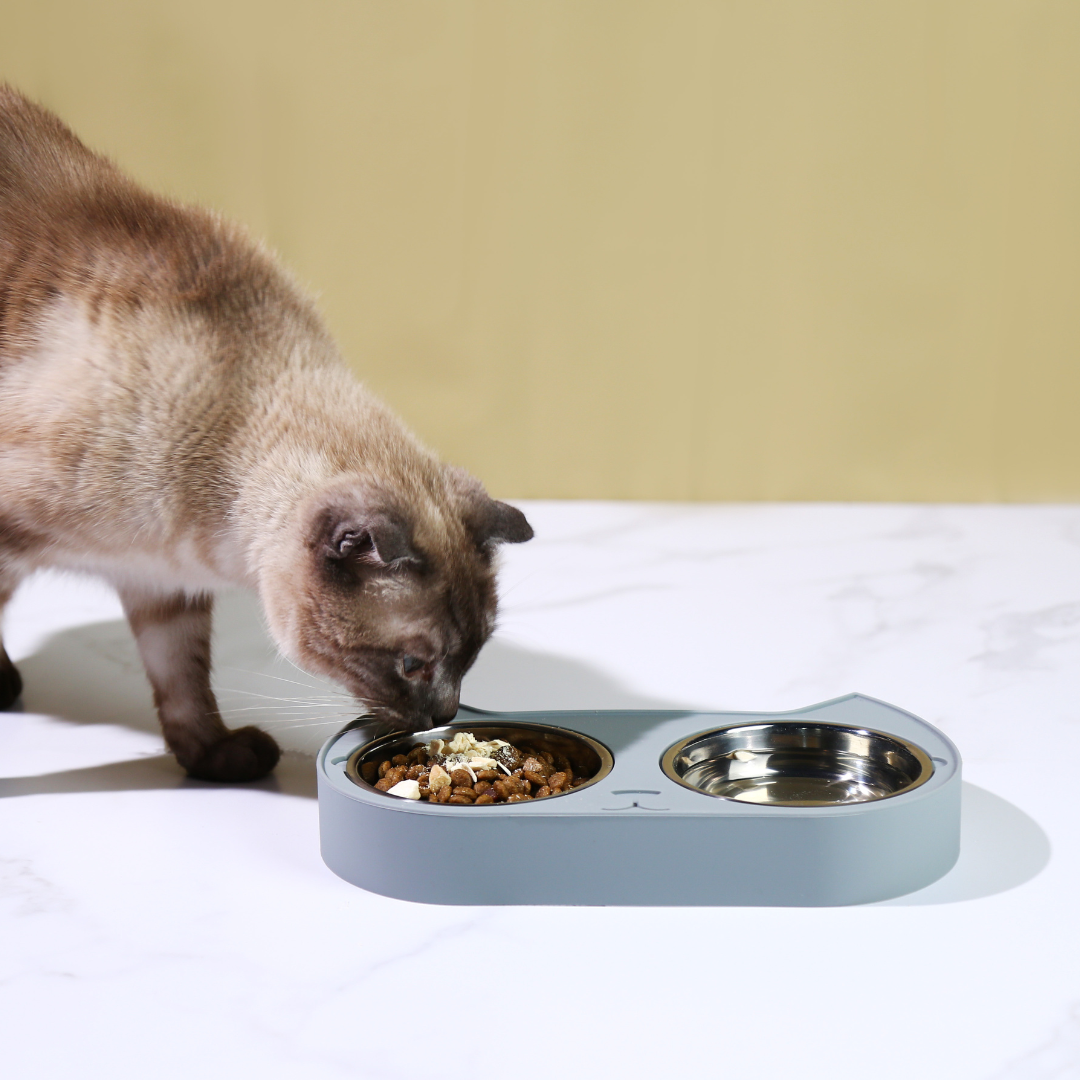 Cat Bowls - PASCO