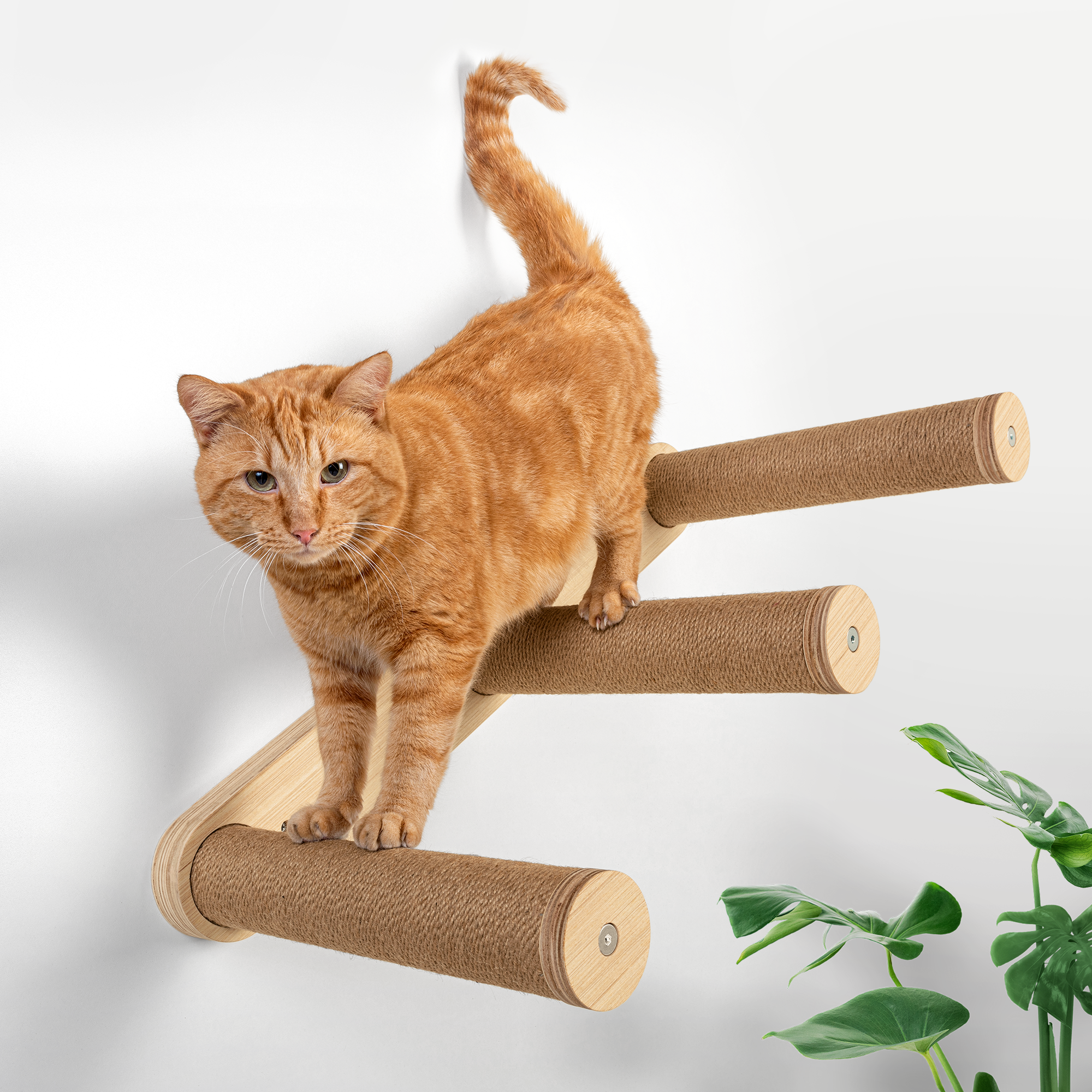 3 Step Cat Wall Stairs - HOPPA