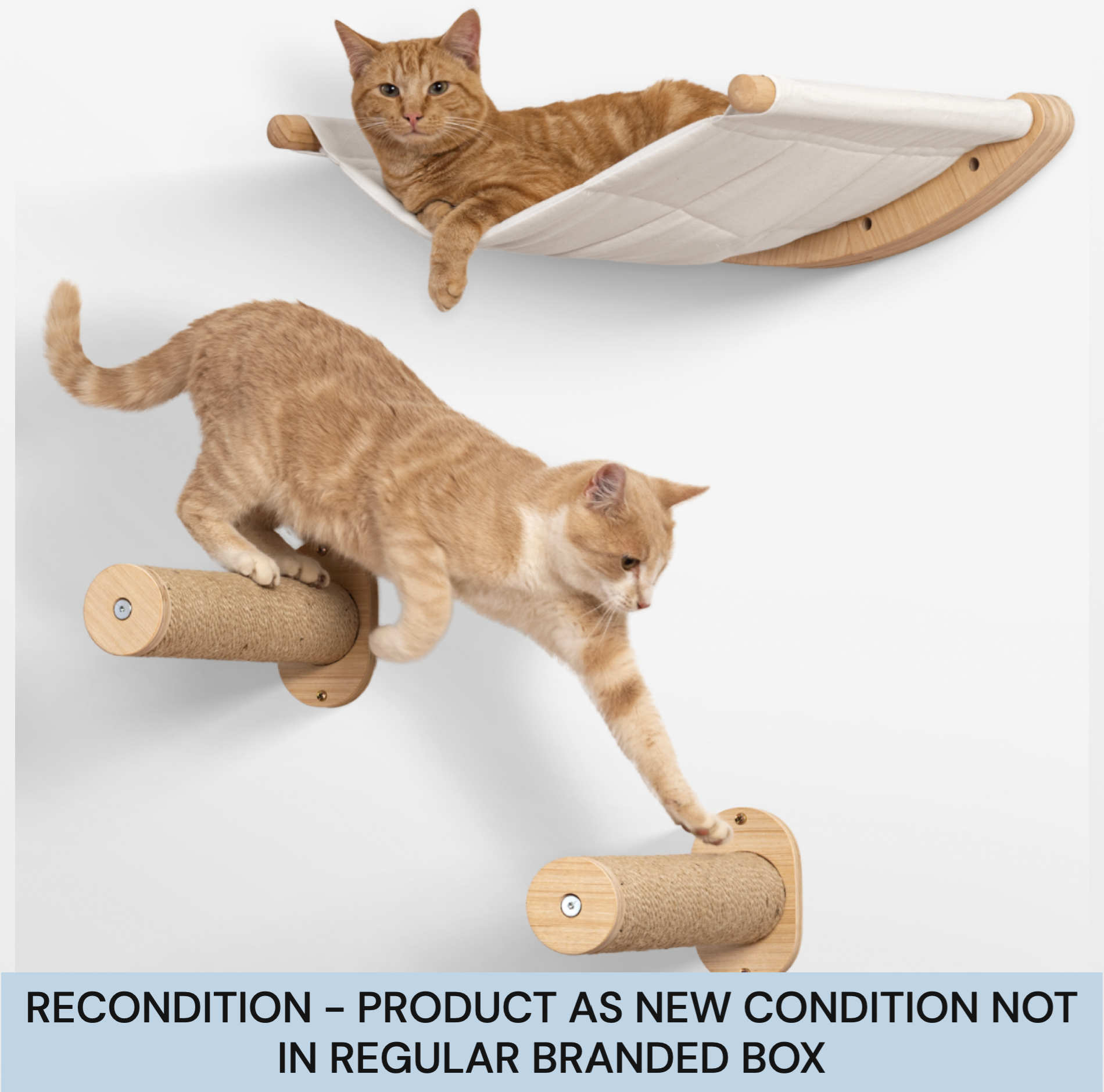 Cat Hammock Set - ALTO - Reconditioned