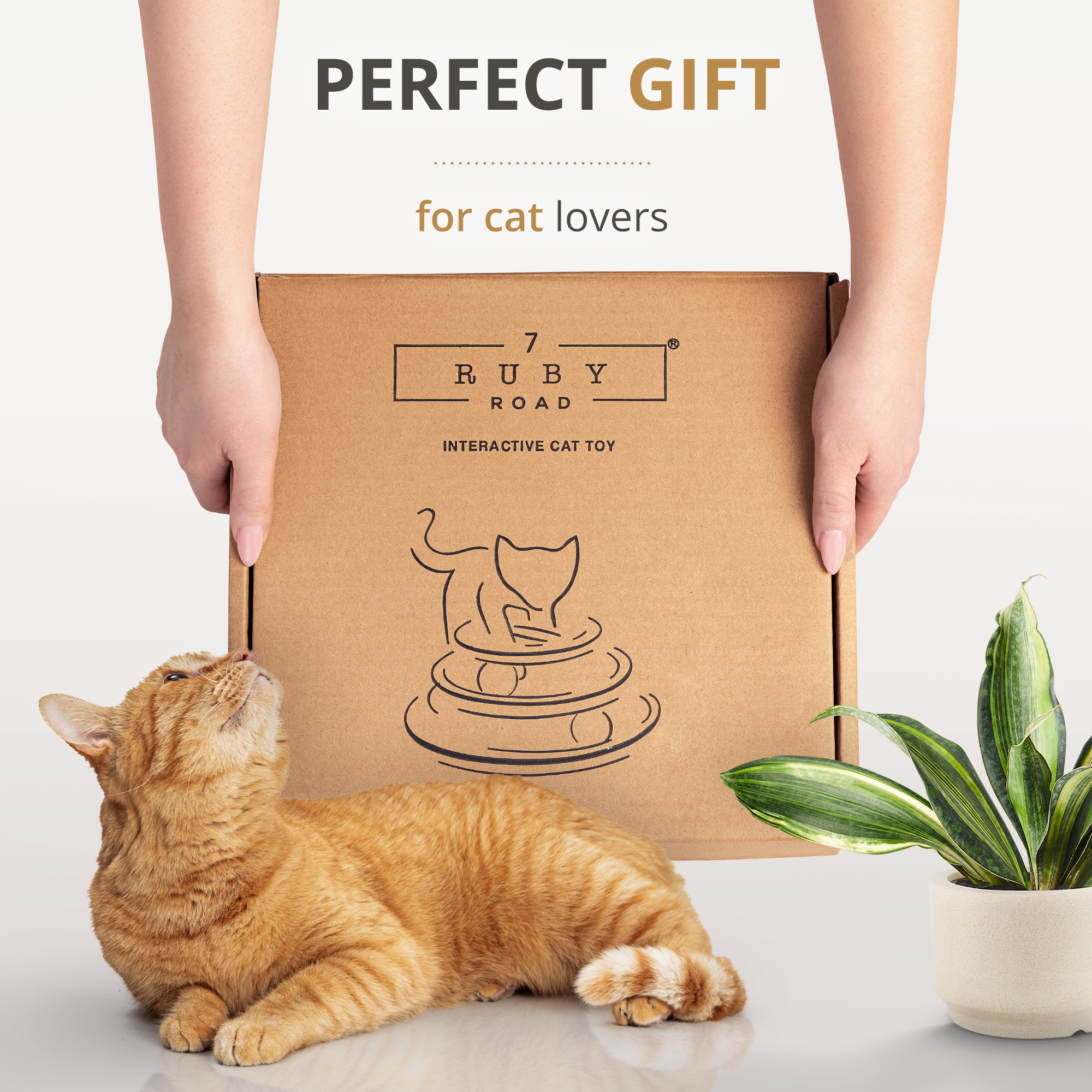 Interactive Cat Toy - LETTY