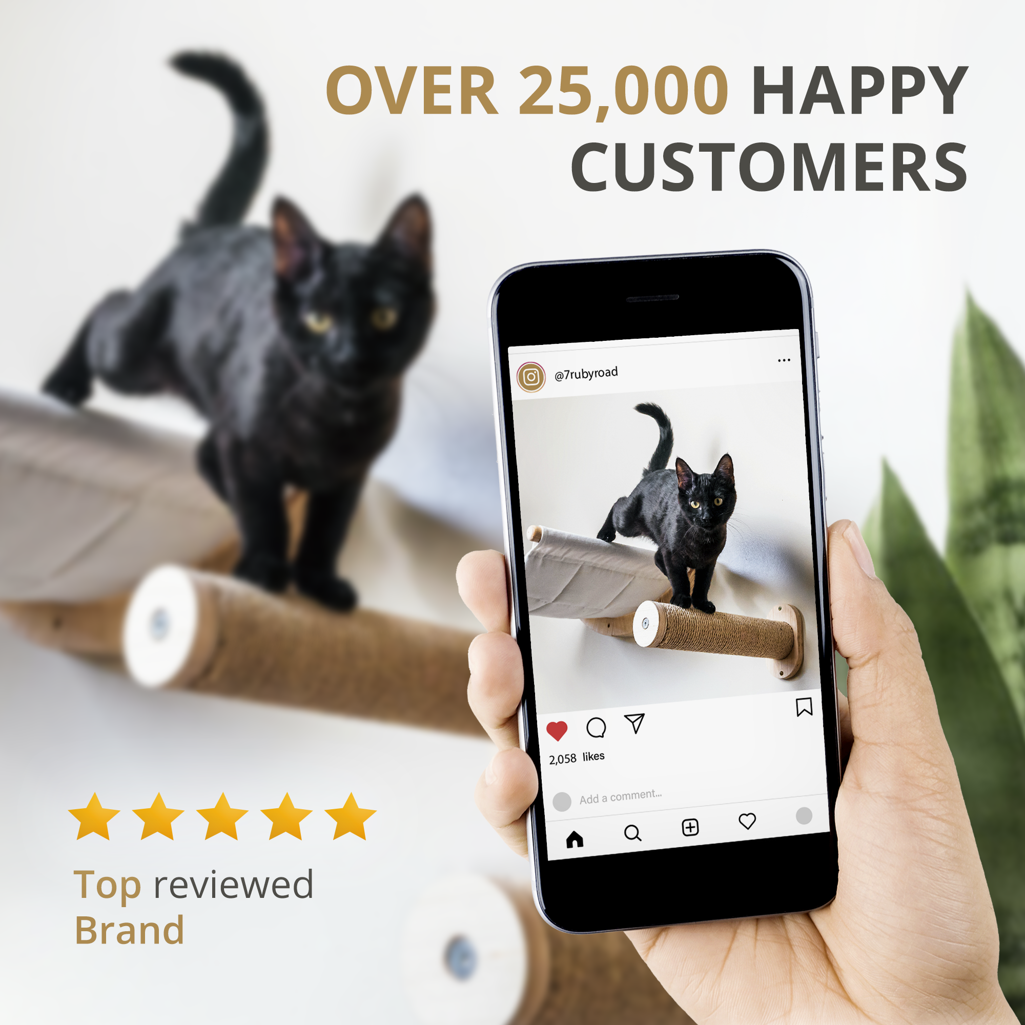 Cat Hammock & Steps - ALTO