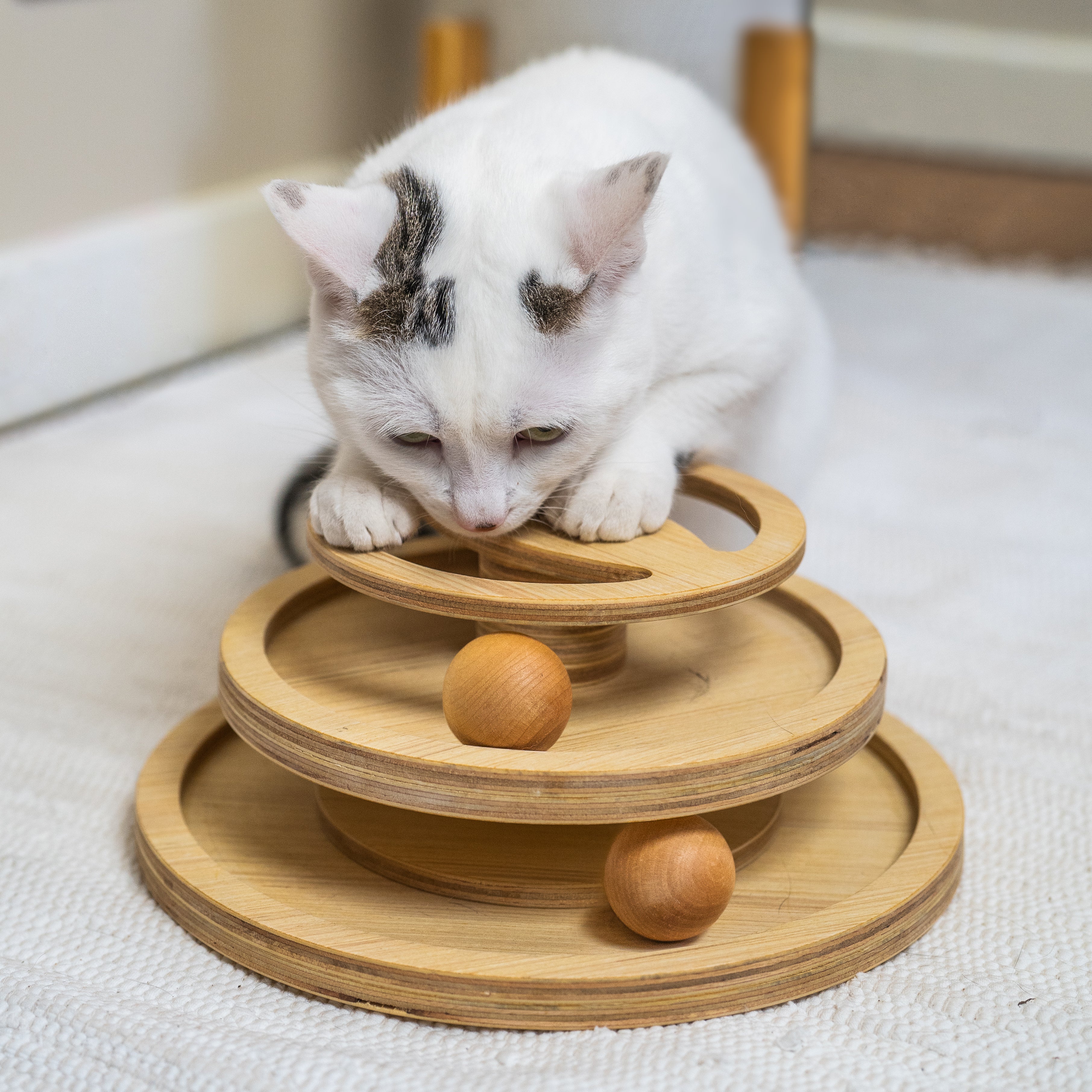 Interactive Cat Toy - LETTY
