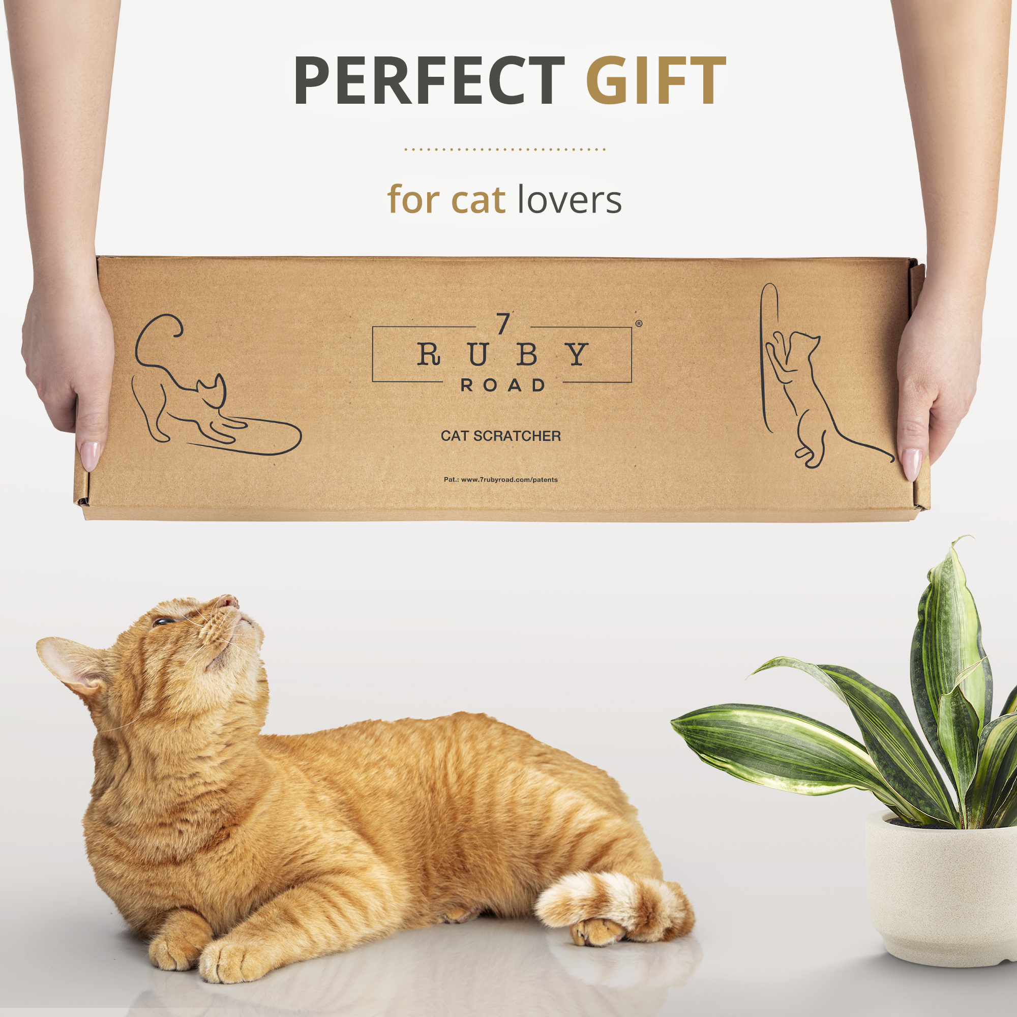 Cat Wall Scratcher - LISSE Natural