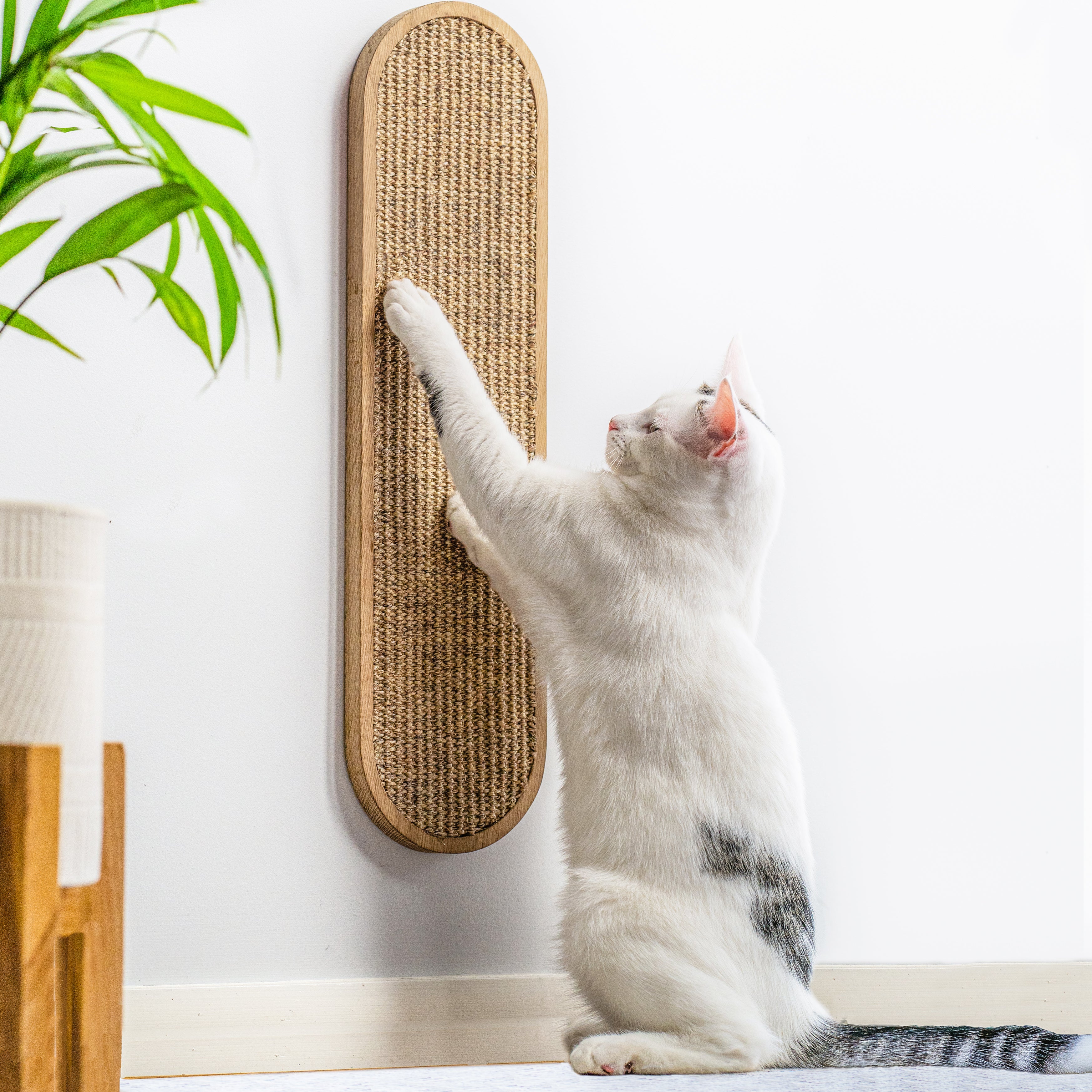 Cat Wall Scratcher - LISSE Natural