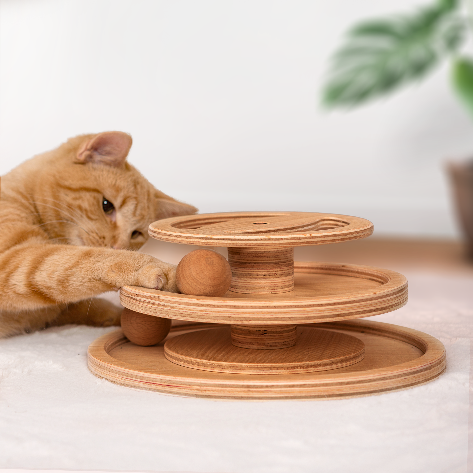Interactive Cat Toy - LETTY
