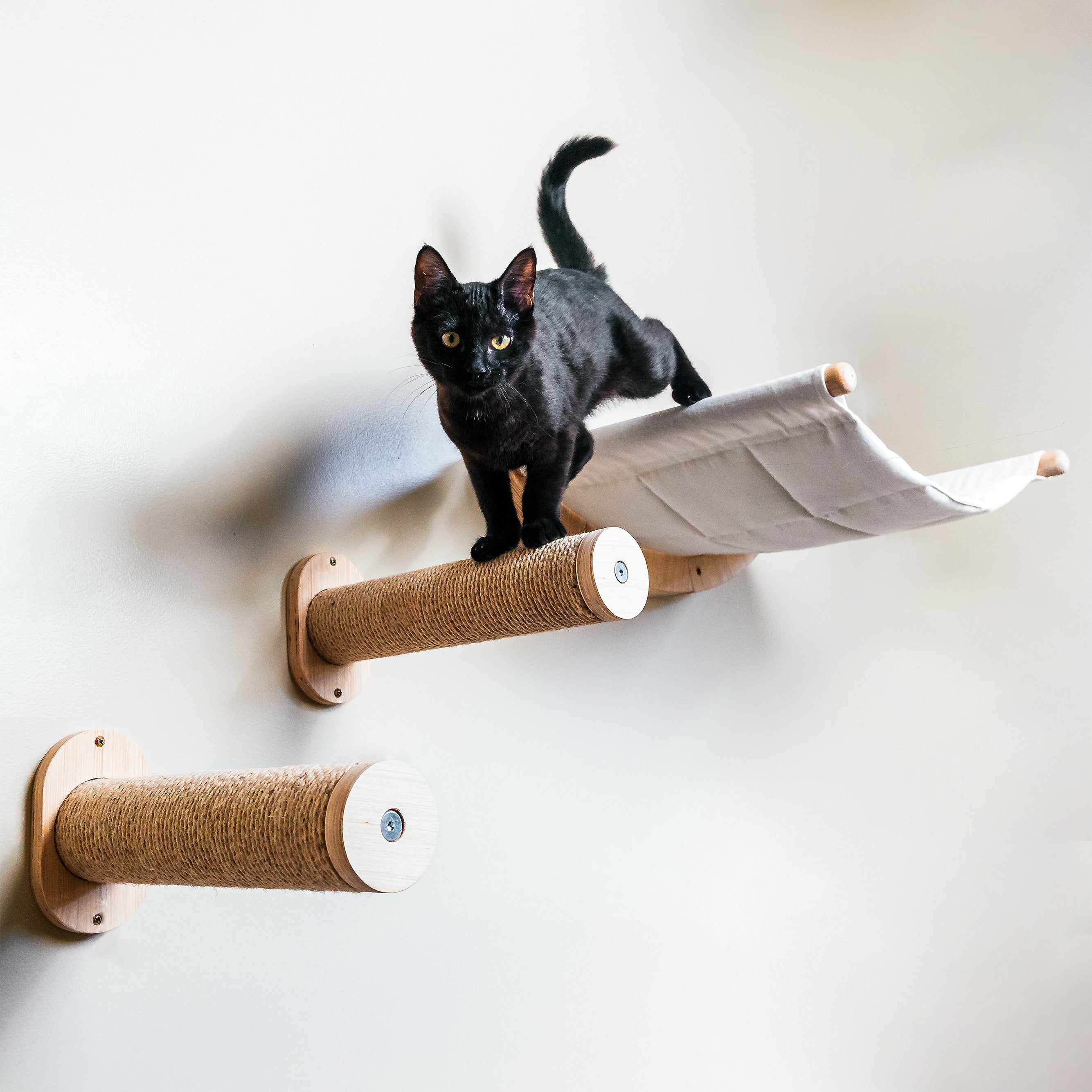 Cat Hammock & Steps - ALTO