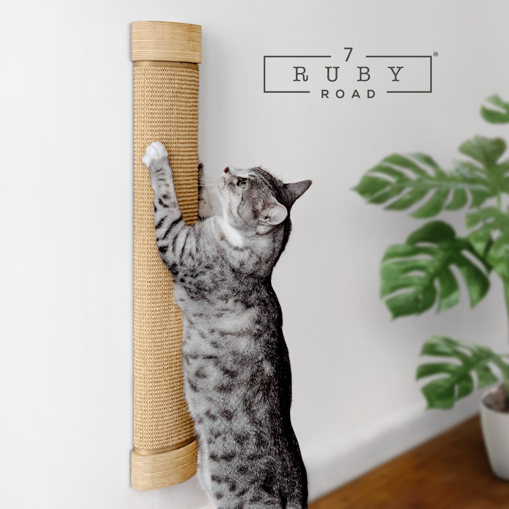 Scratching Pad For NERO