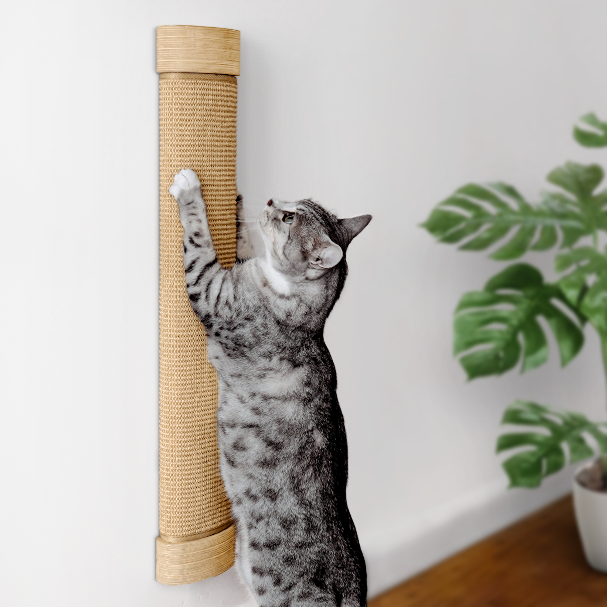 Cat Wall Scratcher