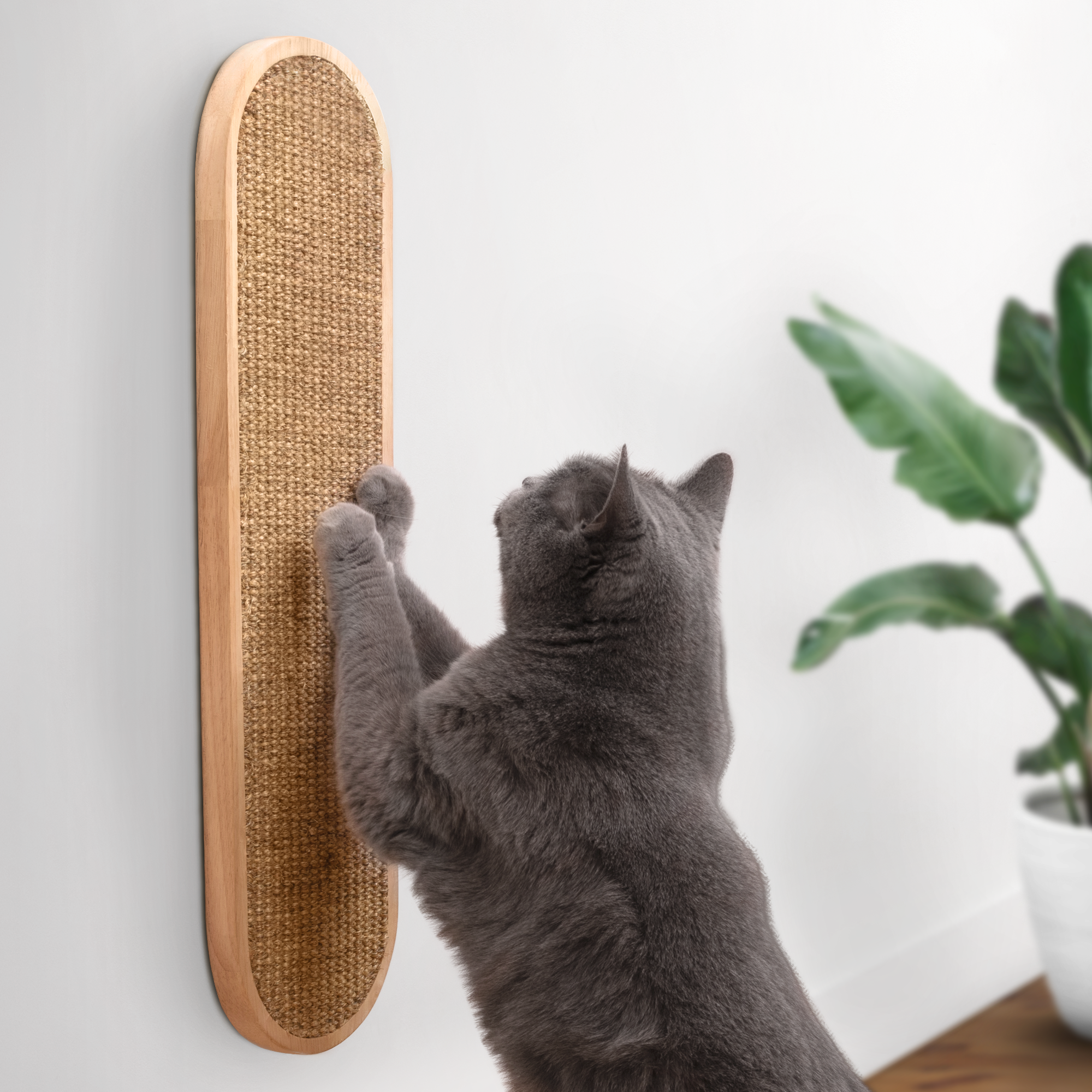 Cat Wall Scratcher - LISSE Natural