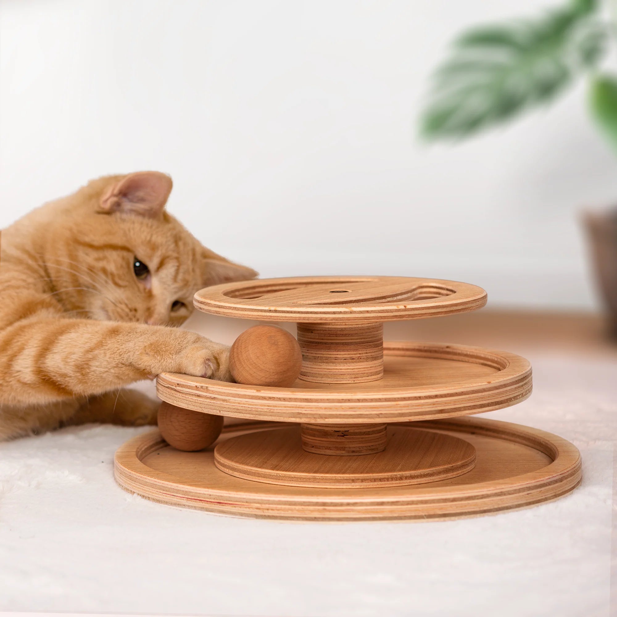 Unleash Your Cat's Inner Hunter with Our Interactive Cat Toy