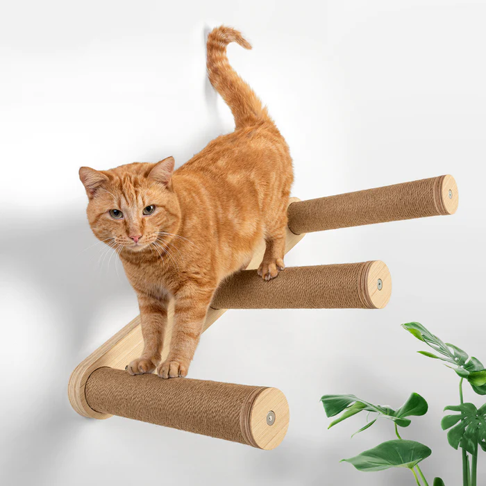 Elevate Your Cat's World with 7 Ruby Road's Wall-Mounted Cat Shelves