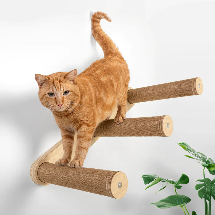 Elevate Your Cat’s World with Wall-Mounted Cat Shelves