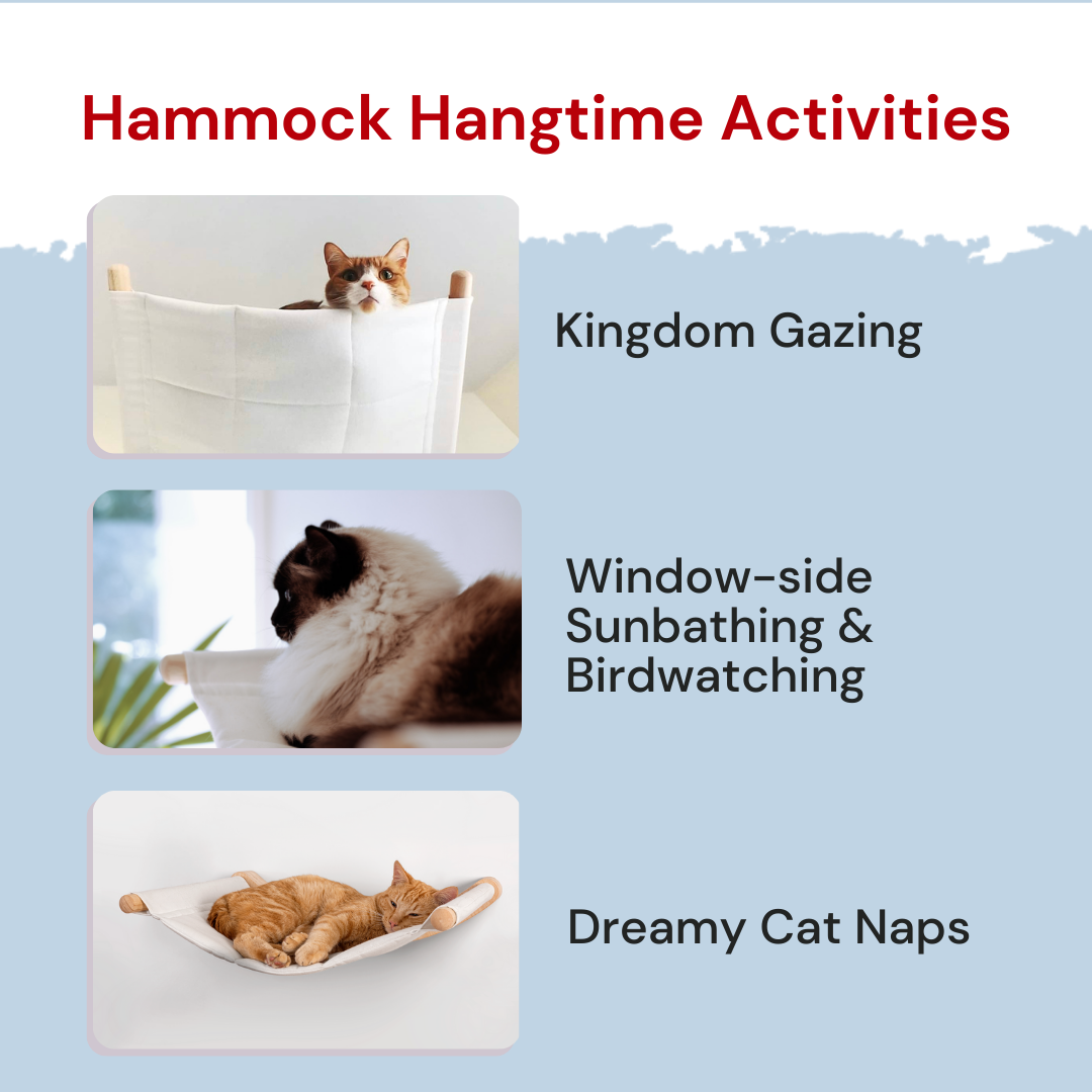 Cat Hammock  - HALTO