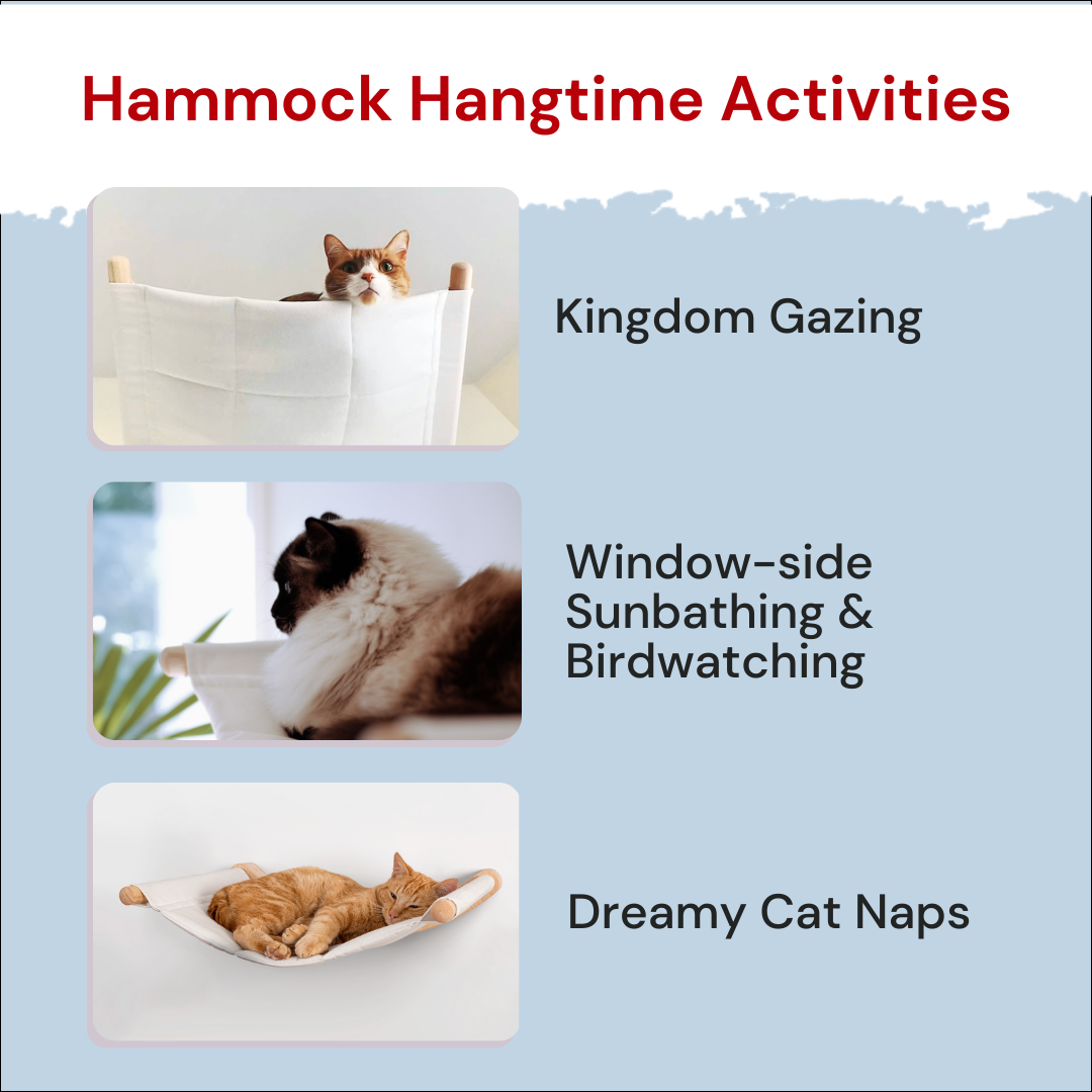 Cat Hammock & Steps - ALTO
