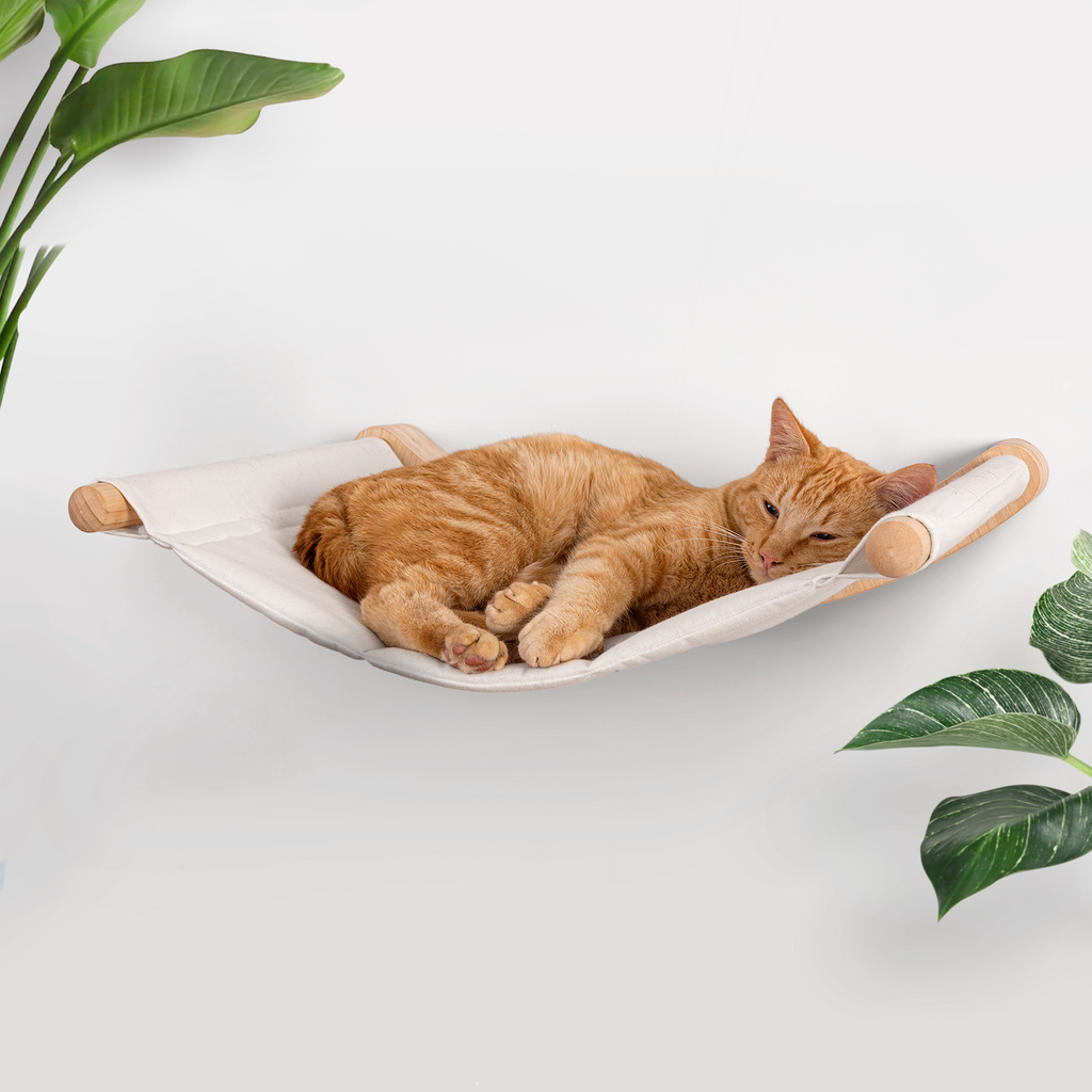 Cat Hammock - HALTO