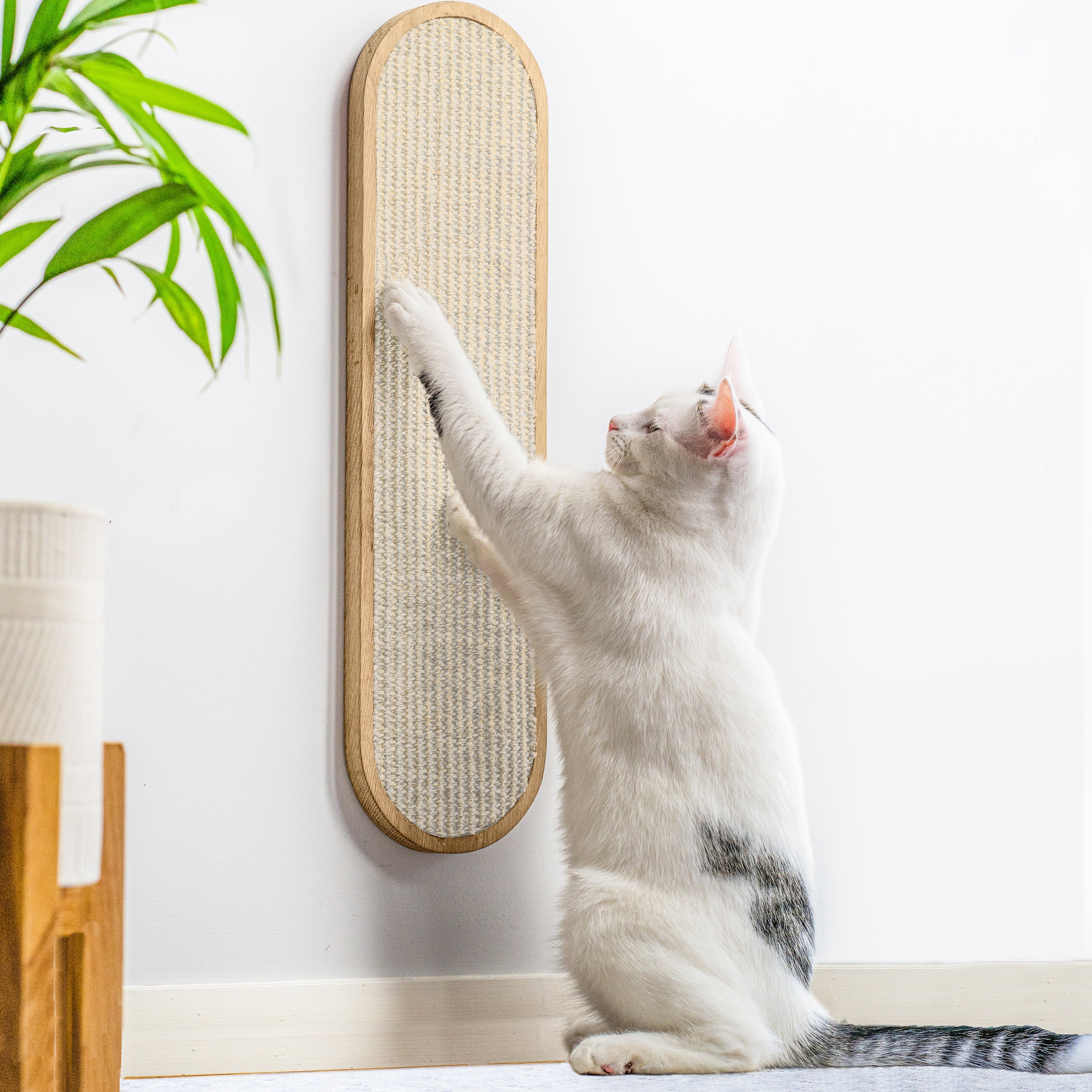 Cat Wall Scratcher - LISSE Cream