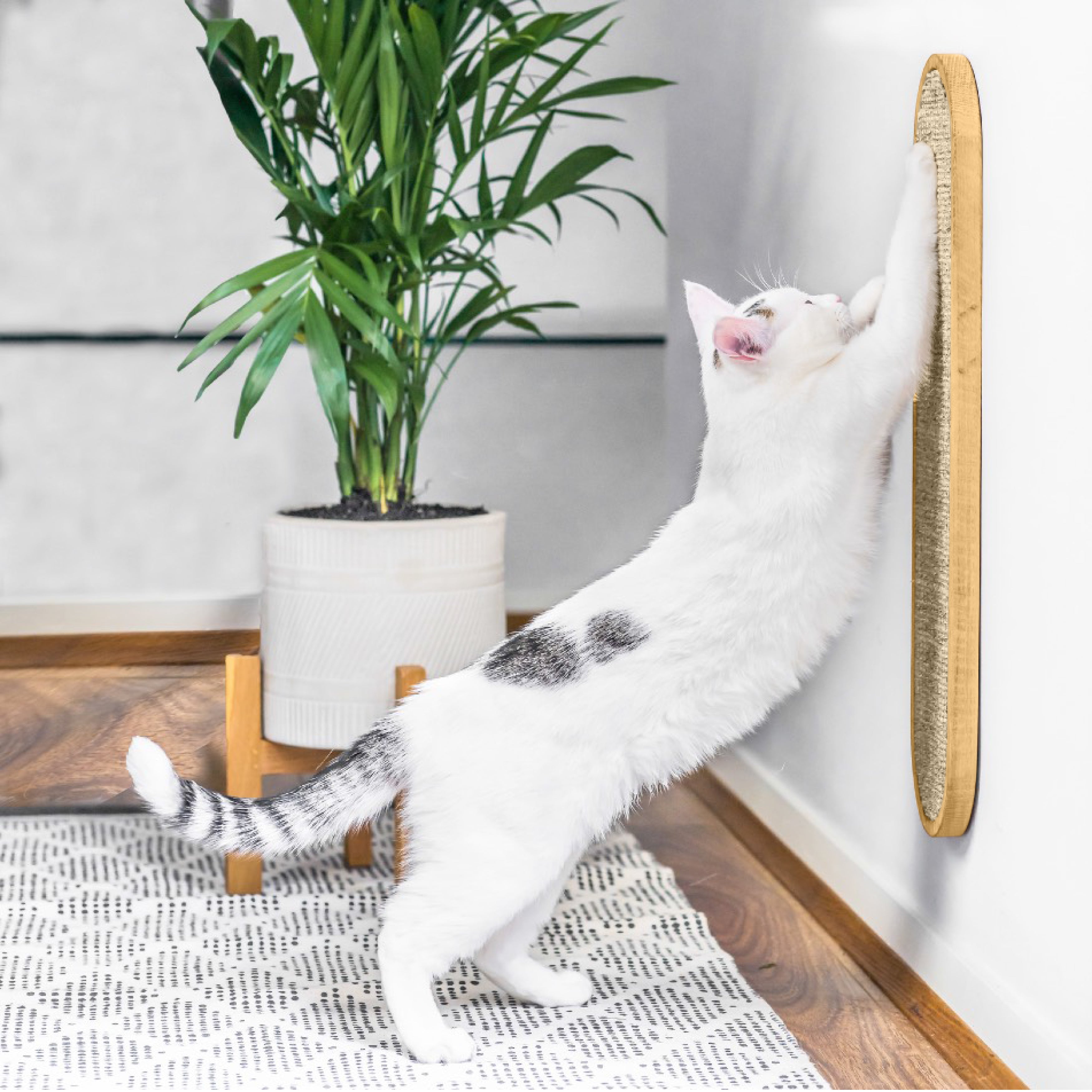 Cat Wall Scratcher - LISSE Cream