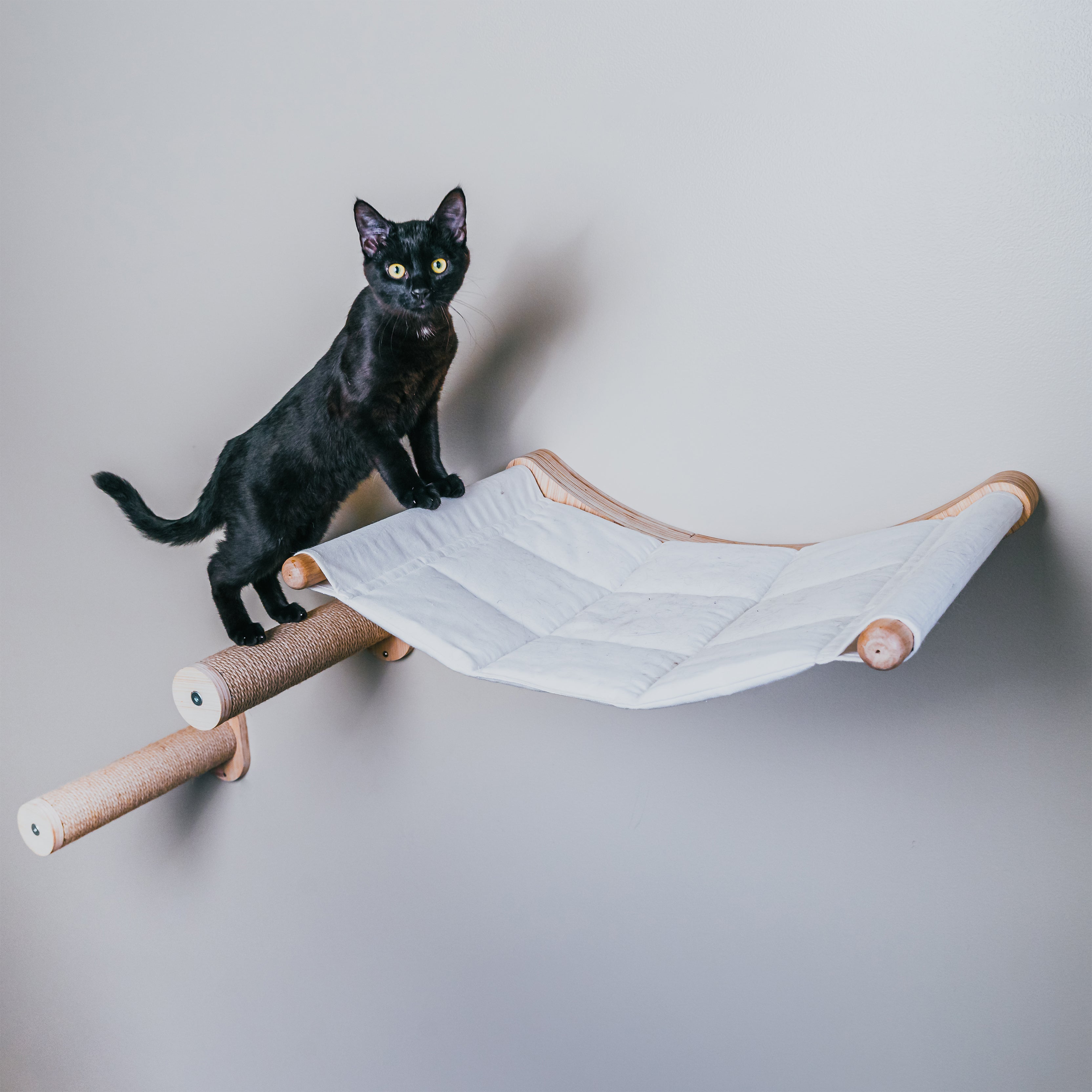 Cat Hammock Cushion for ALTO