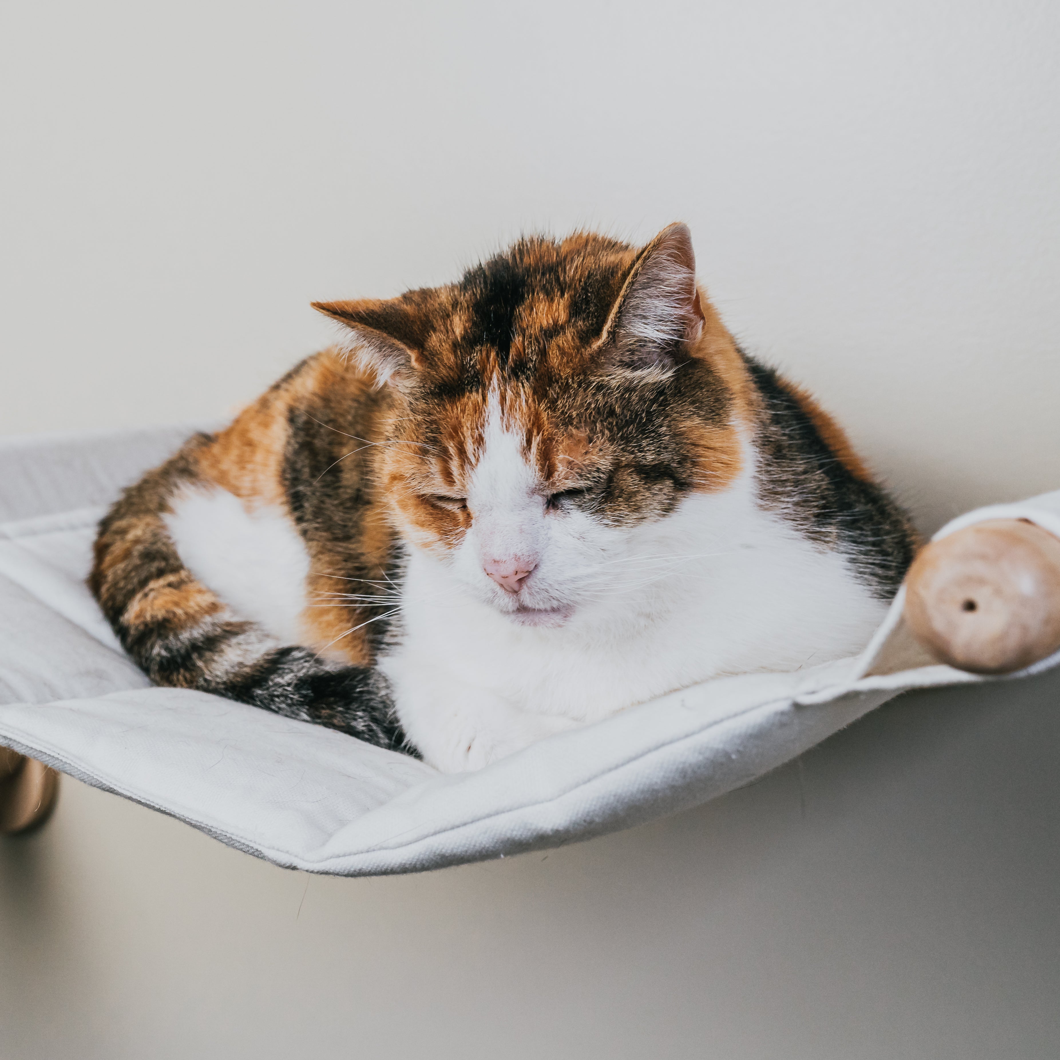 Cat Hammock Cushion for ALTO