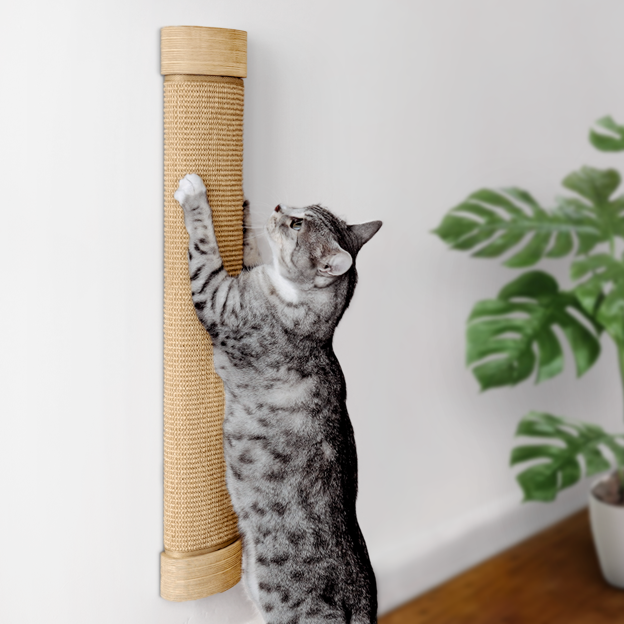 Cat Wall Scratcher - NERO